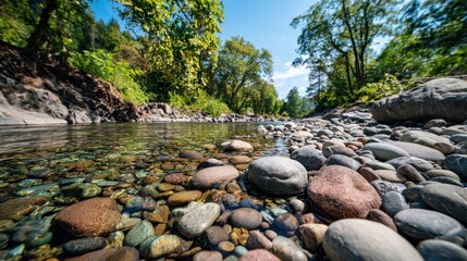 Clear Stream with Submerged Rocks and Riverbank Vegetation