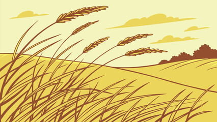Wheat field with rolling hills and clouds grass grain
