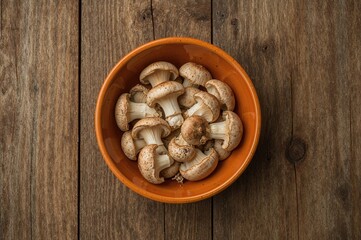 Fototapeta premium Close-up of mushrooms in a vibrant bowl from above, highlighting natural and organic elements of autumn forest produce
