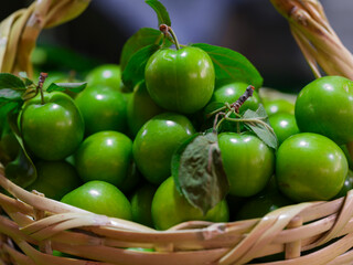 fresh organic plums after harvest