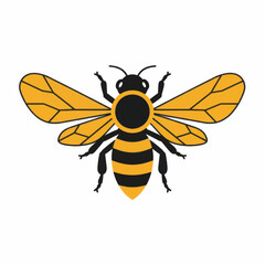 Vibrant Honeybee Illustration with Detailed Wings