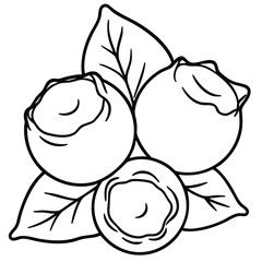 A Single Blueberry Outline for a Coloring Book on a Transparent Background