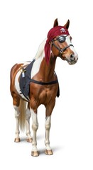 horse dressed as a pirate, Halloween costume