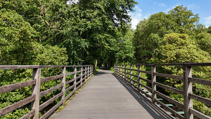 Fototapeta premium Wooden footbridge with railings leading through a leafy forest, captured with strong perspective lines.