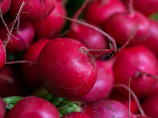 fresh red radishes at organic market