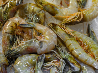 fresh shrimps at seafood market