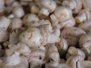 natural mushrooms in grocery store