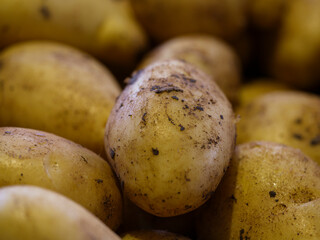 fresh potatoes at market