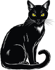 Black cat illustration drawing vector image pet feline animal design