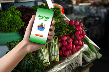 Food delivery. Man using mobile phone app to order grocery online, closeup