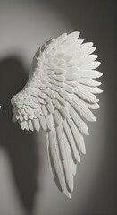 White angel wings