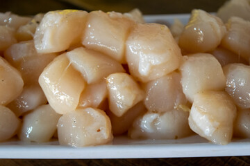 CALLO ALMEJA CATARINA FRESCO