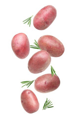 Fresh red potatoes with rosemary falling on white background