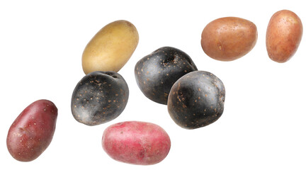 Different types of fresh potatoes flying on white background