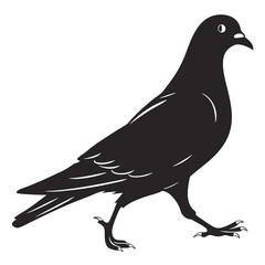 pigeon silhouette vector
