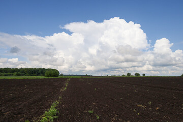 Large, fluffy clouds drift over a black, freshly plowed field. Visible tracks from agricultural machinery highlight the soil's readiness for a new harvest, creating a picturesque rural landscape.