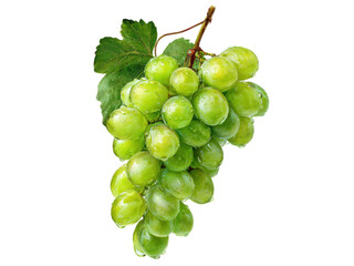 Bunch of Fresh Green Grapes with Water Droplets Isolated on Black bunch of grapes fruit, Isolated On Png Transparent Background