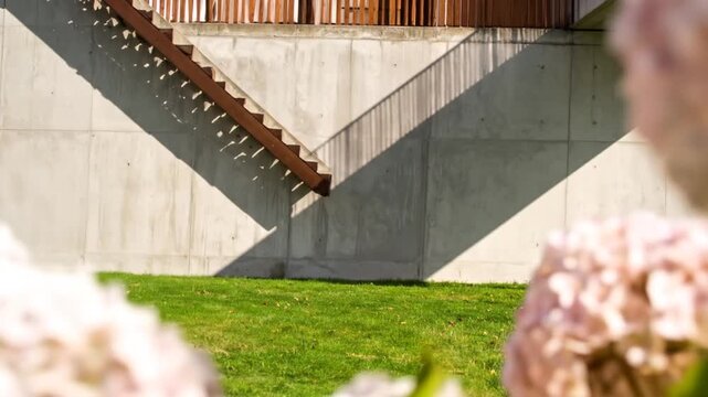 Architectural Concrete Wall with Staircase Shadow and Green Lawn Featuring Hydrangeas in a Blurred Foreground on a Bright Sunny Day