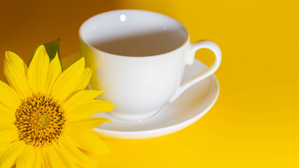 cup with sunflower