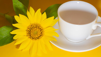 cup with sunflower