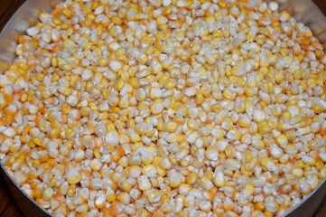 corn kernels, the edible seeds of the maize plant, typically yellow or white, a source of dietary fiber that aids in digestive health, and contains B vitamins and essential minerals like zinc