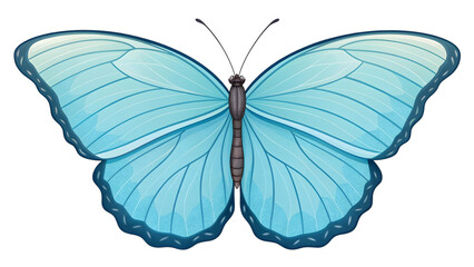 Obraz premium Stunning blue morpho butterfly with intricate wing patterns isolated