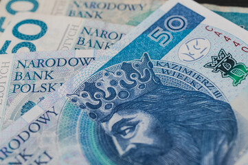 Polish zloty national currency