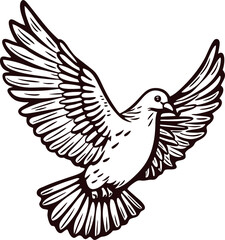 Obraz premium Detailed ink drawing of flying dove bird with outstretched wings on white background, vintage engraved illustration