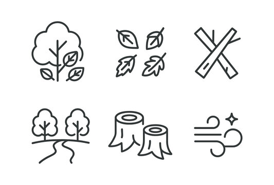 vector outline icons coppice (autumn colors): golden foliage fallen leaves trimmed branches earthy path bare stumps crisp air.