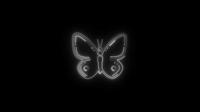 Glowing Neon Butterfly Animation on Black Background..
