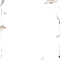 White flower petals frame