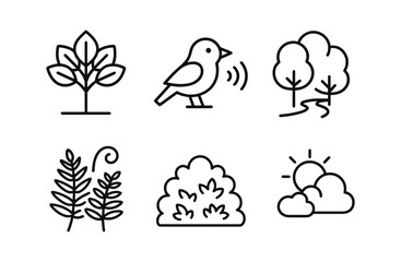 vector outline icons coppice (summer shade): leafy canopy bird calls shaded trail ferns dense growth filtered light.