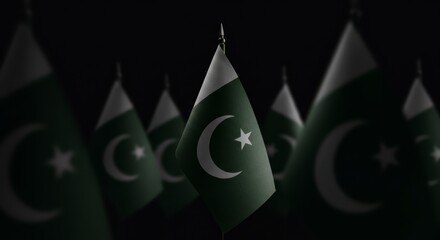 Ceremonial Display &ndash; Six Crescent & Star Flags on Gold-Tipped Poles