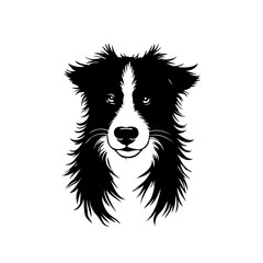 Monochrome canine portrait highlighting distinctive fur texture and facial expression for animal