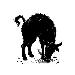 Monochrome depiction of a strong ox bends down drinking or grazing water with unwavering focus on