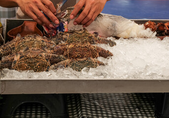 Fresh Crabs on Ice at Seafood Market with Hands Selecting Product