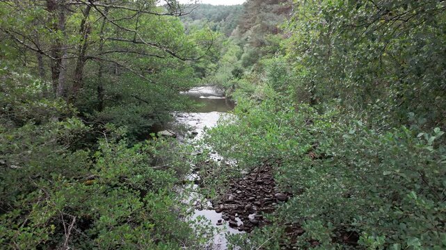 Baia River in Gorbea Natural Park, surrounded by green beech trees &ndash; Basque Country nature travel