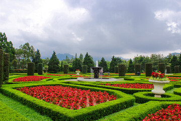 Symmetrical Garden Landscape with Red Flowers and Central Water Fountain in Public Park