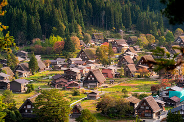 Shirakawago is a Japan traditional village showcasing a building style known as gasshō-zukuri in autumn