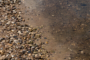 Pebbled river shore with shallow clear water and small fish visible under sunlight. Natural summer scene highlighting ecology, environment, and freshwater biodiversity in the wild.