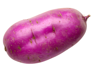 Vibrant Purple Potato: A close-up shot of a singular, eye-catching purple potato, presenting a healthy and visually appealing culinary ingredient.