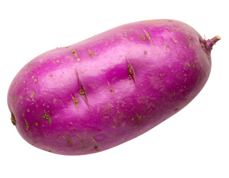 Vibrant Purple Potato: A close-up shot of a singular, eye-catching purple potato, presenting a healthy and visually appealing culinary ingredient.