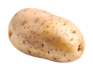 Russet Potato: A close-up image of a single, fresh russet potato, revealing its textured skin and natural, earthy appearance.