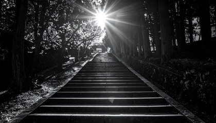 Black and White Pathway Steps Leading to Sunlight.
