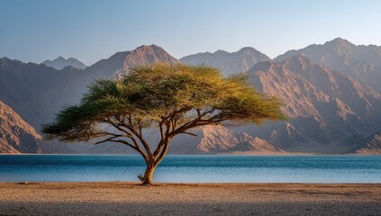 Solitary tree by tranquil lake, mountains in background