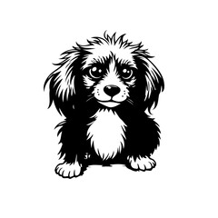 Monochrome portrait of a charming canine companion with expressive eyes and distinctive fluffy fur