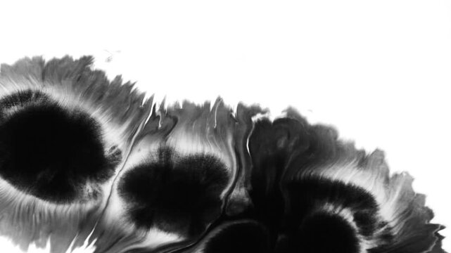 Abstract B Ink Drops Transition On Black Background 4k Footage Ink Footage Transition White Ink Drops Falling On Black Background Abstract Paint Brush Stroke Shape Black Ink Splattering Flowing And Wa
