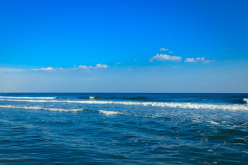 Seascape of Baltic Sea crystal water and sea bottom.