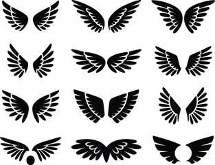 Collection of Twelve Pairs of Ornamental Wings