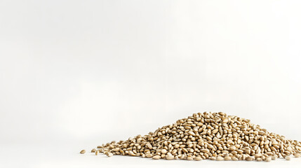 Obraz premium A small pile of whole barley grains, round and golden, scattered on a smooth white surface, showcasing their natural beauty and texture.